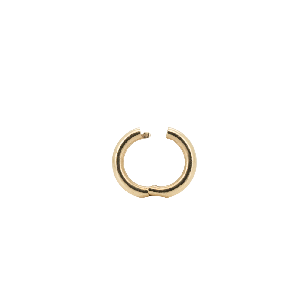 The Hoop